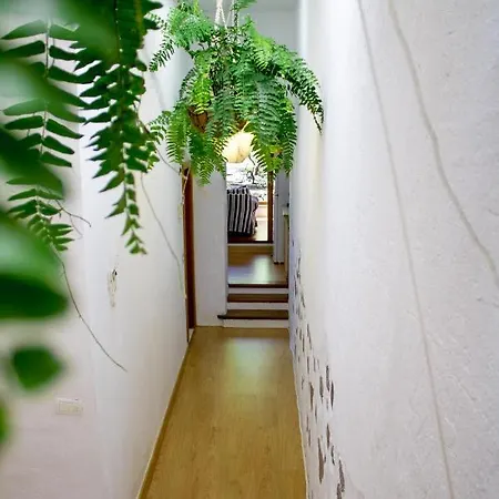 Casa Bellavista De Apartment *